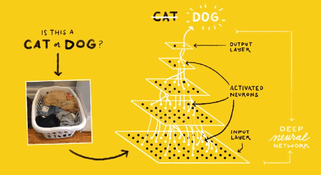 How the brain works versus how machine learning models work