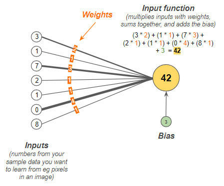 Single perceptron input function.
Figure 4.3.1.5. Single Perceptron Input Function, Jason Mayes, Google WebML 102, Google AI for JavaScript developers with Tensor Flow.js, Chapter 4: Writing Custom Models, Lesson 3.1: Perceptrons and Neurons