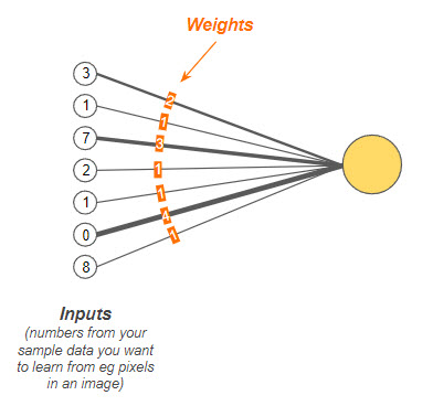 Single perceptron with multiple inputs and weights
Figure 4.3.1.3. Single Perceptron with Multiple Inputs and Weights, Jason Mayes, Google WebML 102, Google AI for JavaScript developers with Tensor Flow.js, Chapter 4: Writing Custom Models, Lesson 3.1: Perceptrons and Neurons